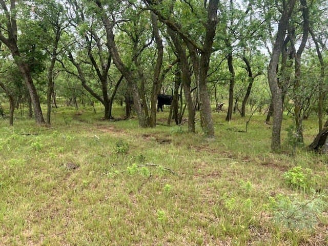 147.9 acres in Scurry County - photo 11