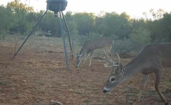 147.9 acres in Scurry County - photo 75