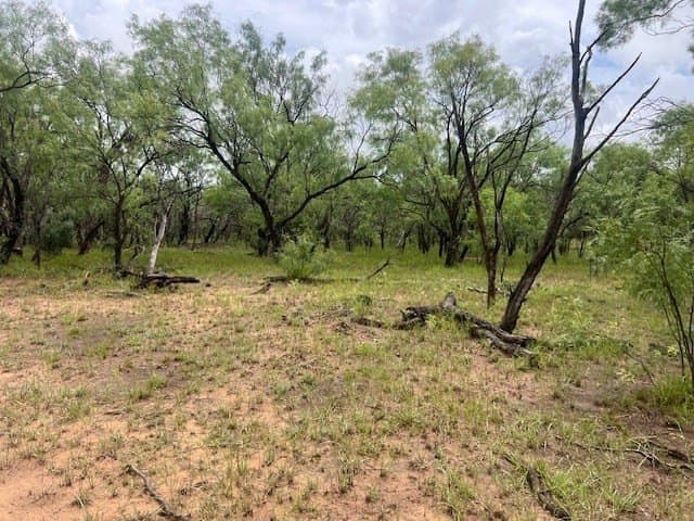 147.9 acres in Scurry County - photo 9