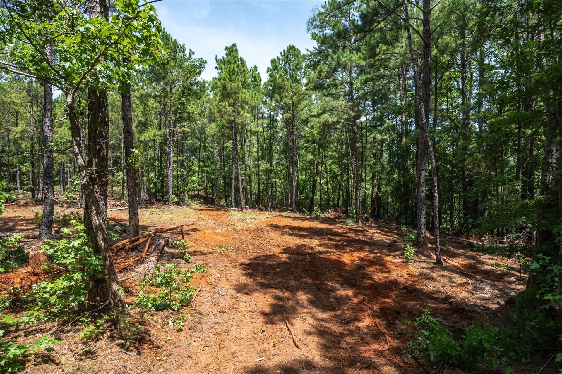 5 acres in Cherokee County - photo 7