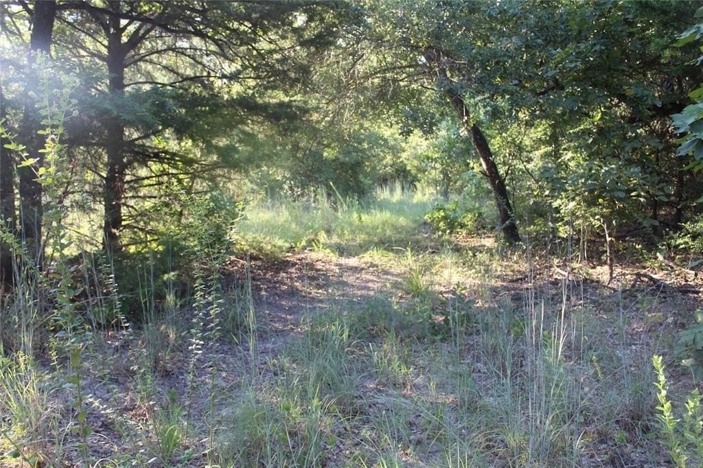 57 acres in Freestone County gallery image 2