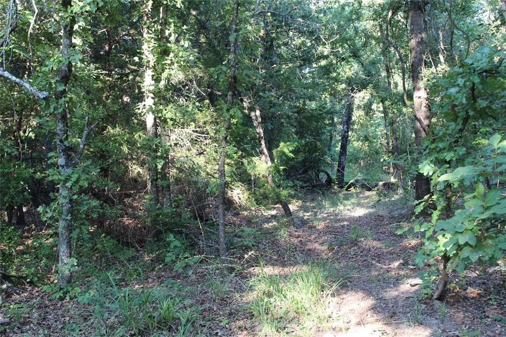 57 acres in Freestone County gallery image 4