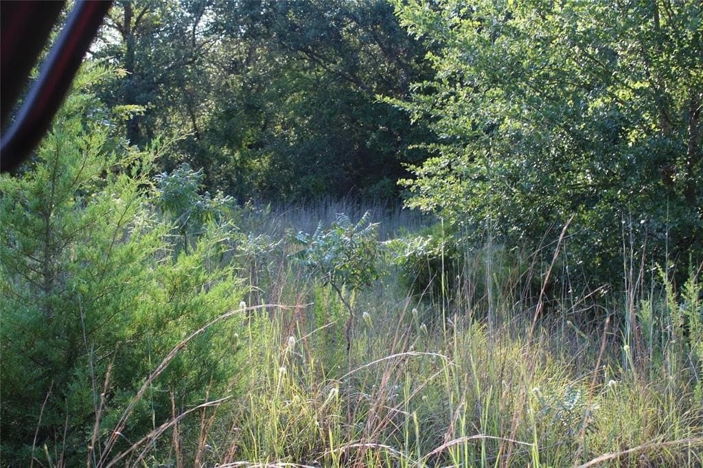 57 acres in Freestone County featured view