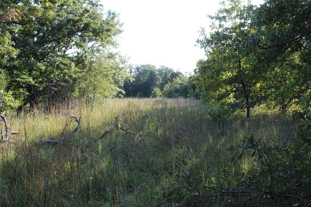 57 acres in Freestone County gallery image 3