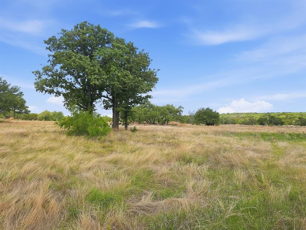 20.02 acres in Hamilton County gallery image 4