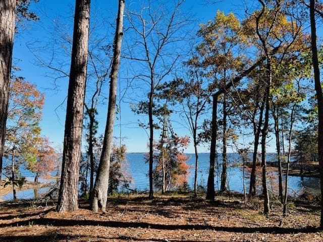 1.24 acres in Texas County gallery image 2