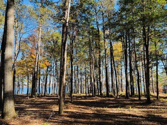 1.24 acres in Texas County gallery image 4