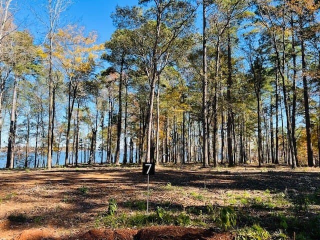 1.24 acres in Texas County gallery image 3