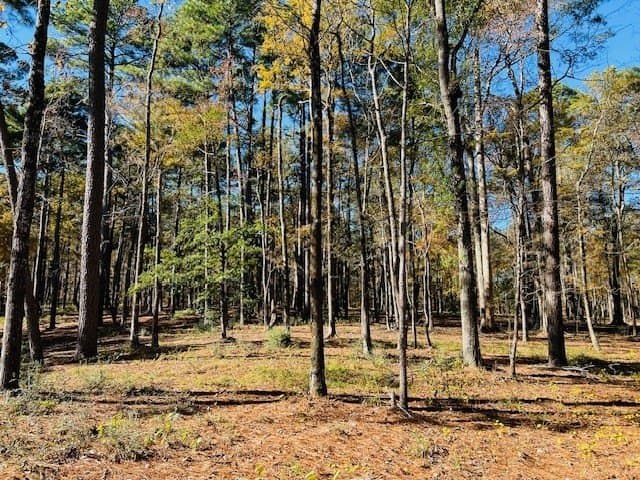 1.24 acres in Texas County featured view