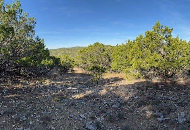 0.57 acres in Comal County gallery image 4
