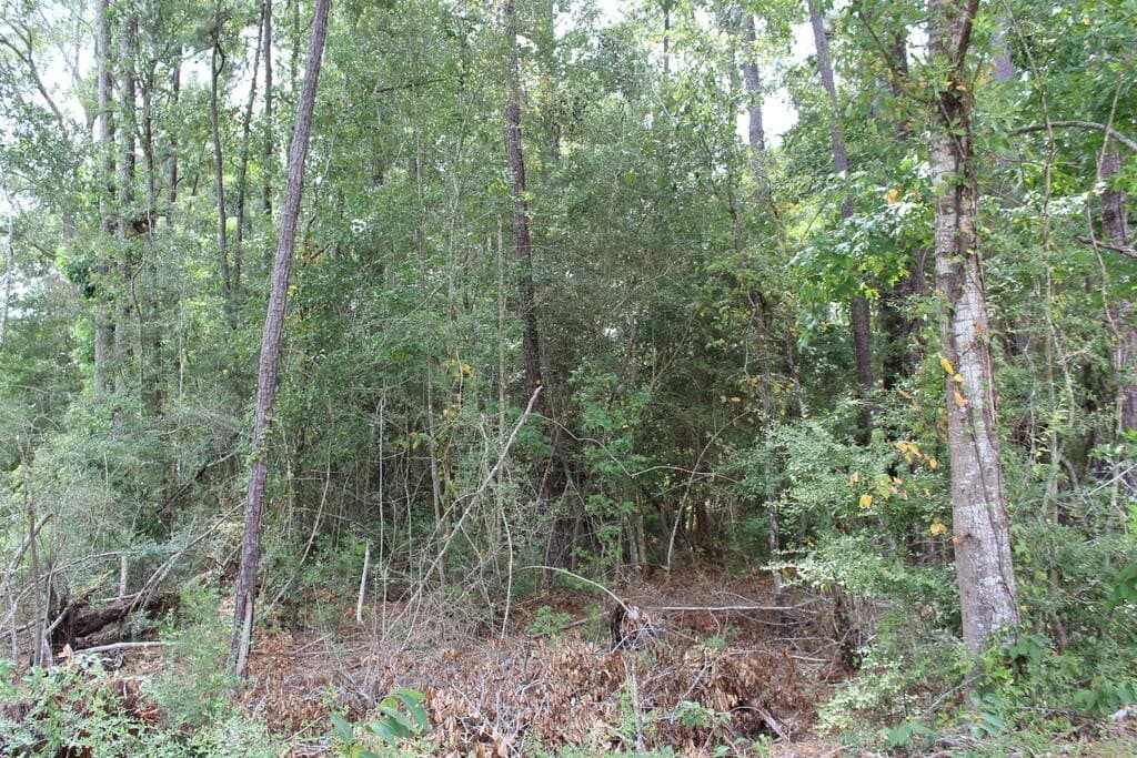 3.7 acres in Texas County - photo 2