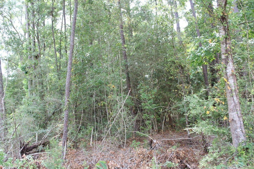 3.7 acres in Texas County - photo 3