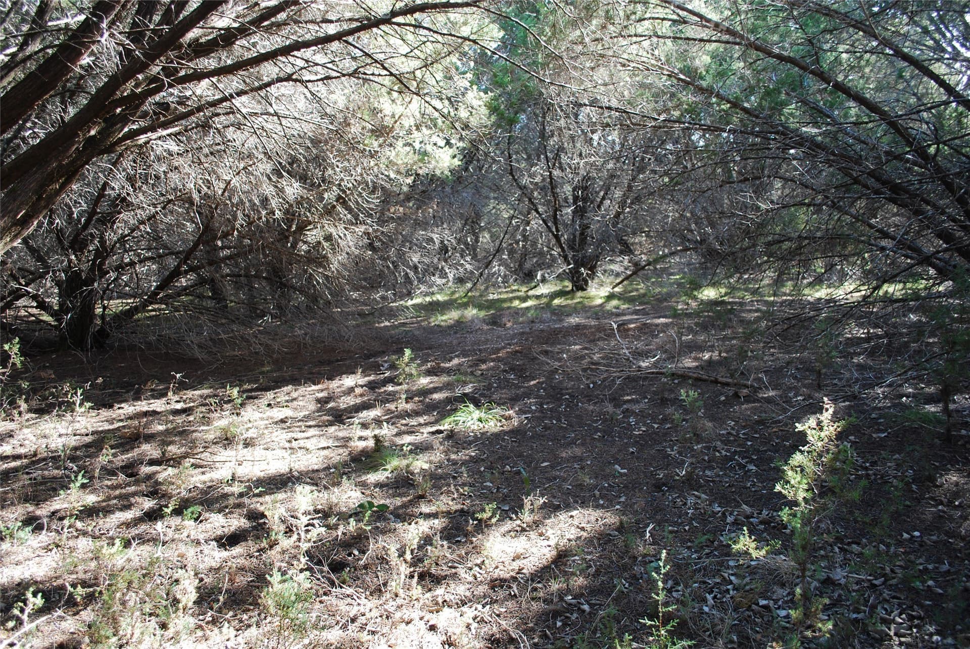 0.26 acres in Hill County gallery image 2
