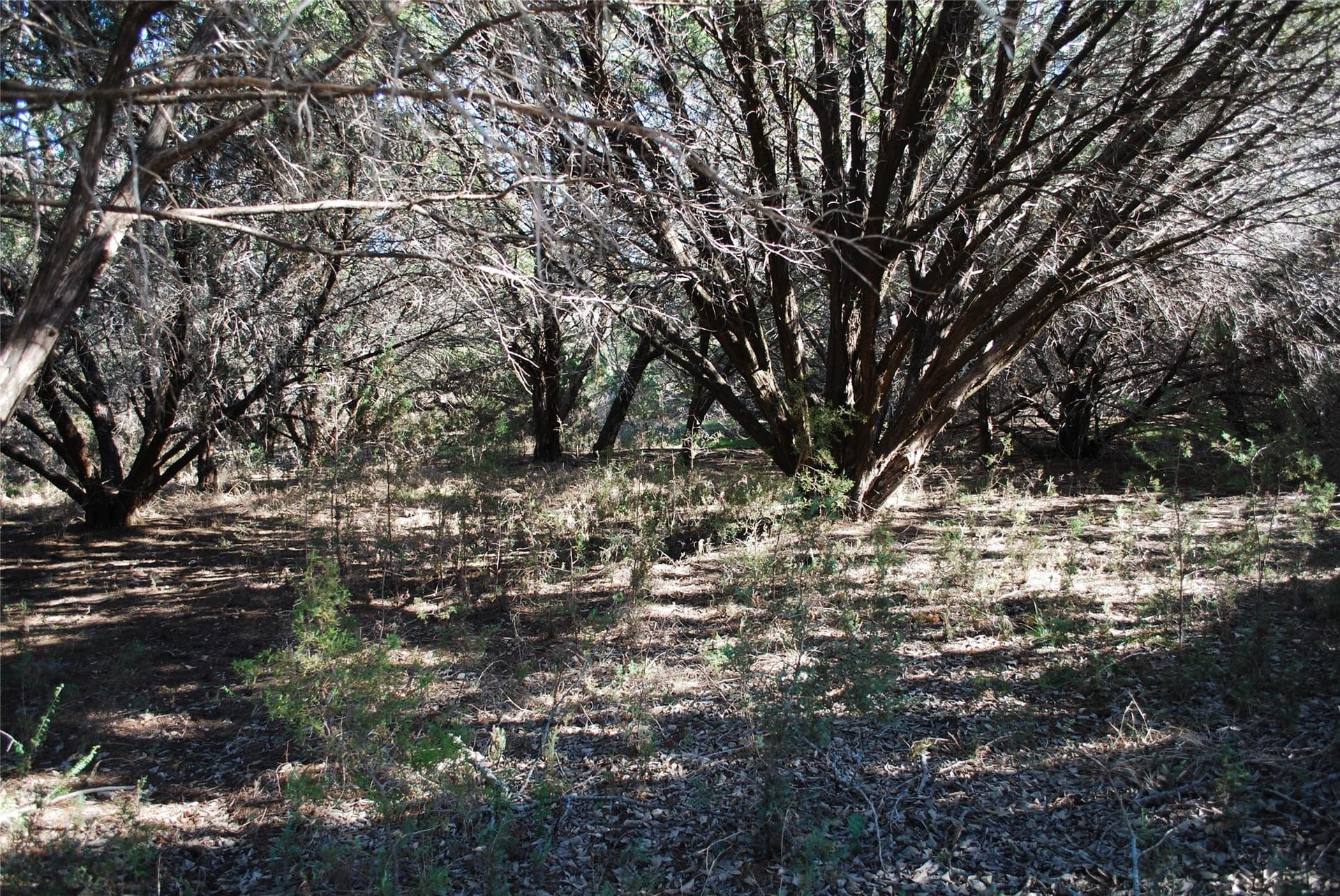 0.26 acres in Hill County - photo 6