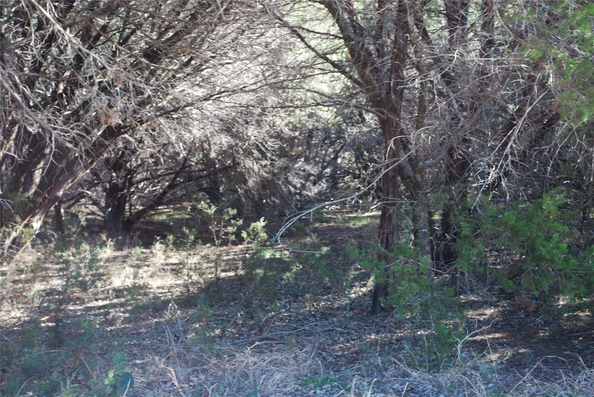 0.26 acres in Hill County gallery image 3