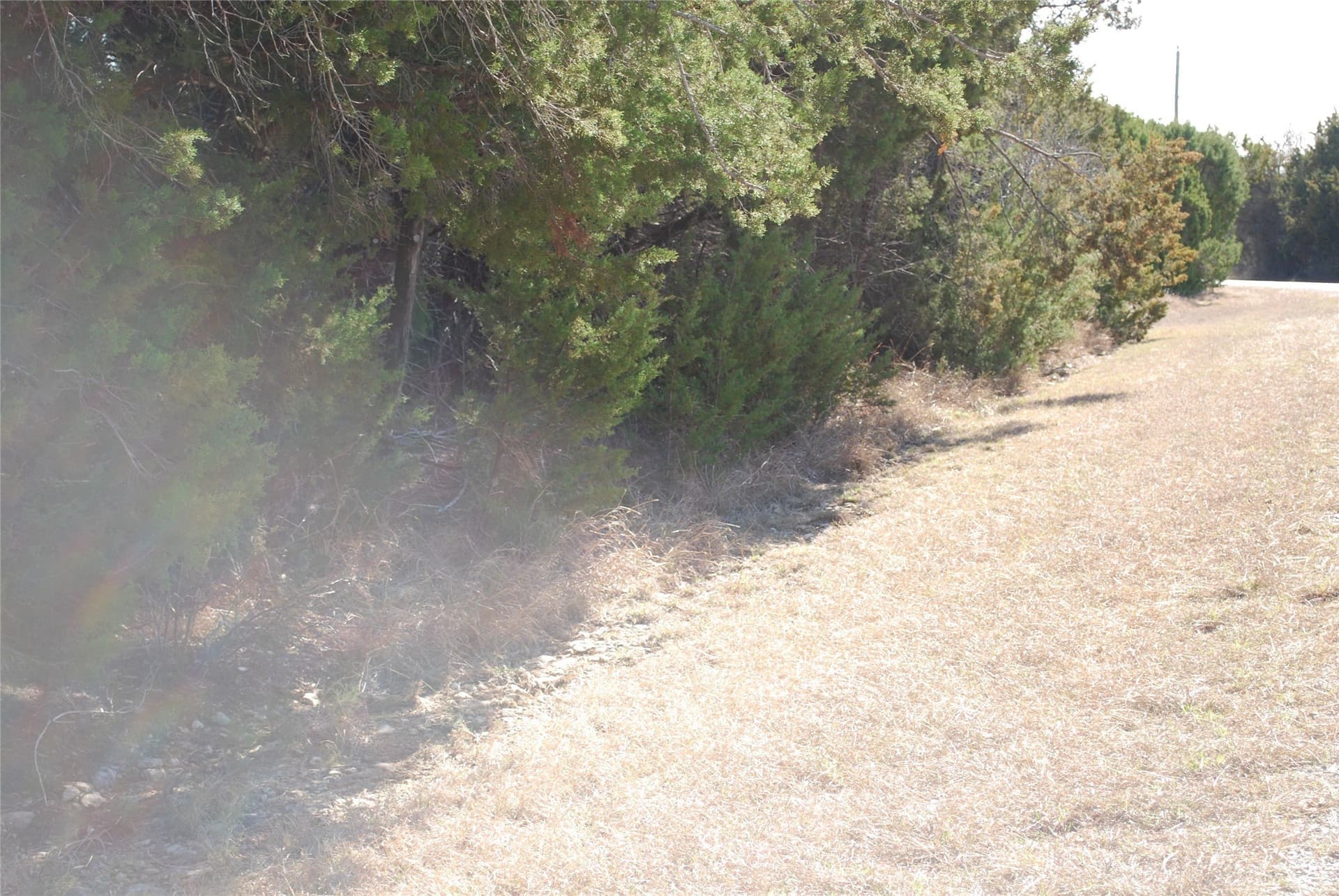 0.26 acres in Hill County gallery image 4