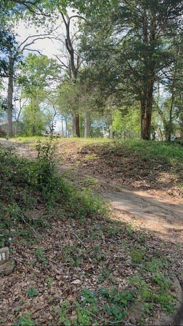0.41 acres in ANDERSON County featured view