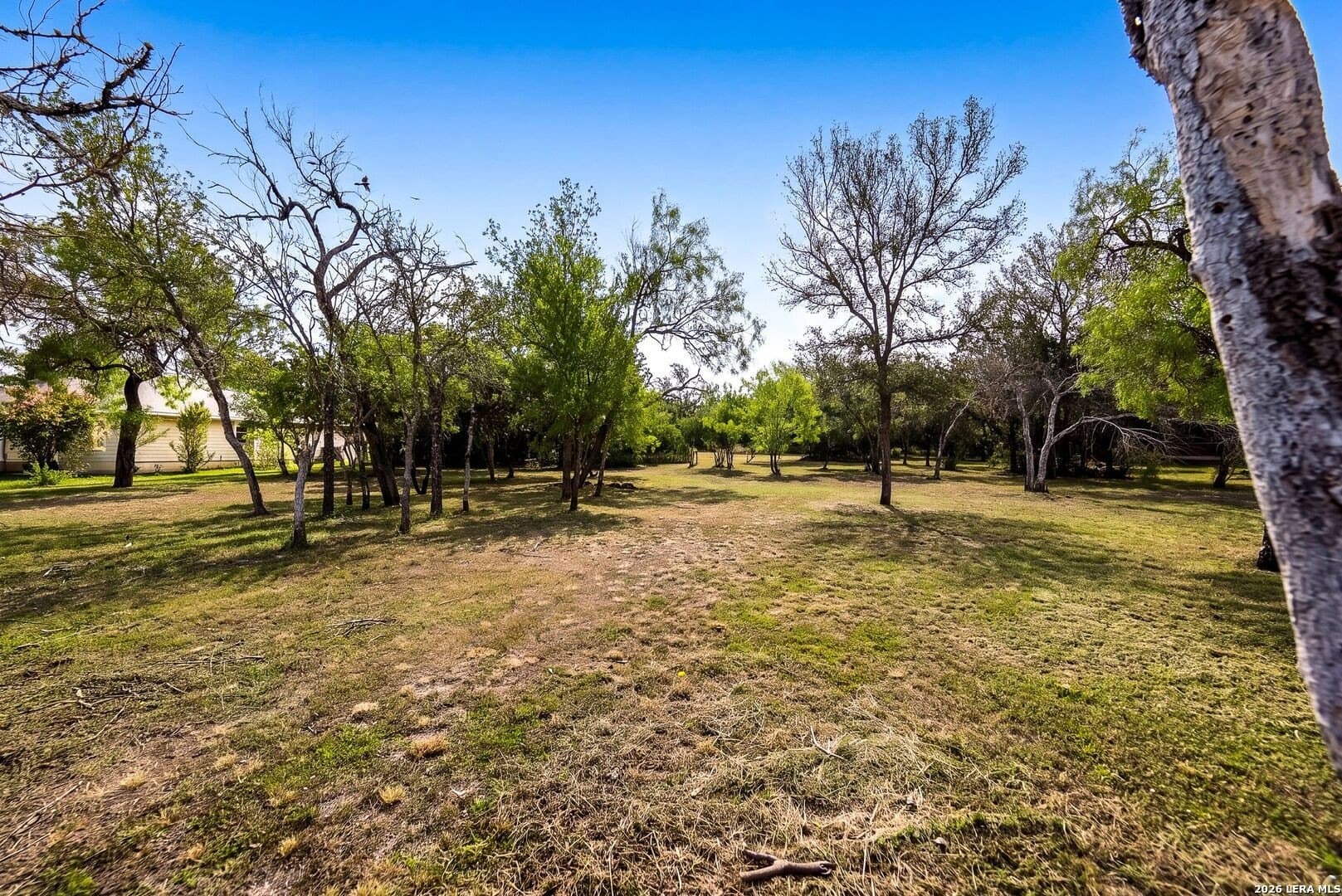 1.3 acres in Medina County - photo 8