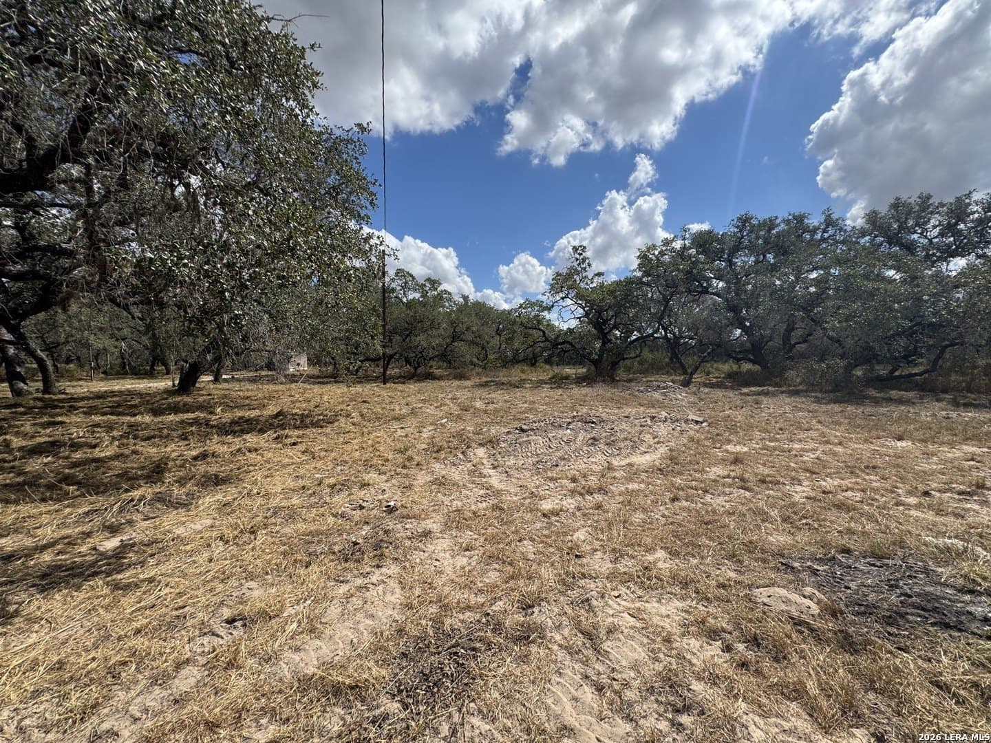 5 acres in Atascosa County - photo 4