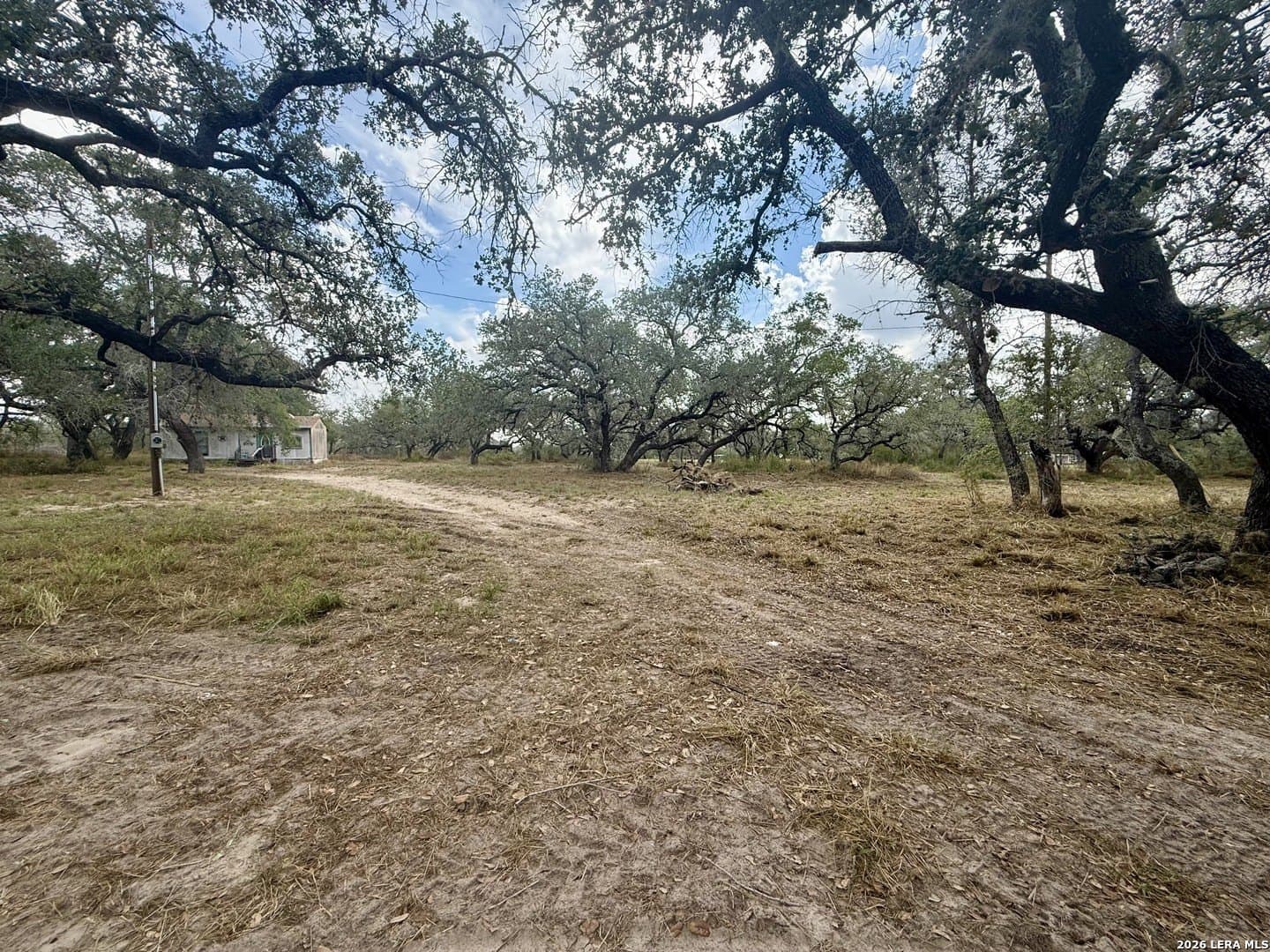 5 acres in Atascosa County - photo 10