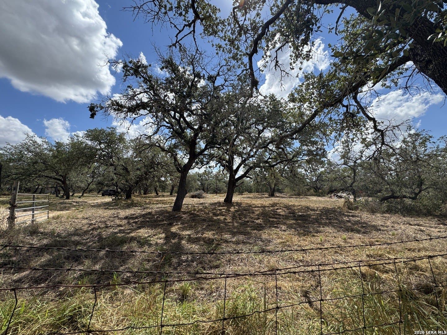 5 acres in Atascosa County - photo 5