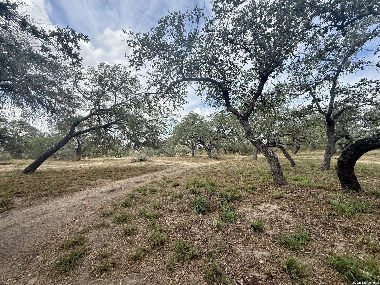 5 acres in Atascosa County - photo 3