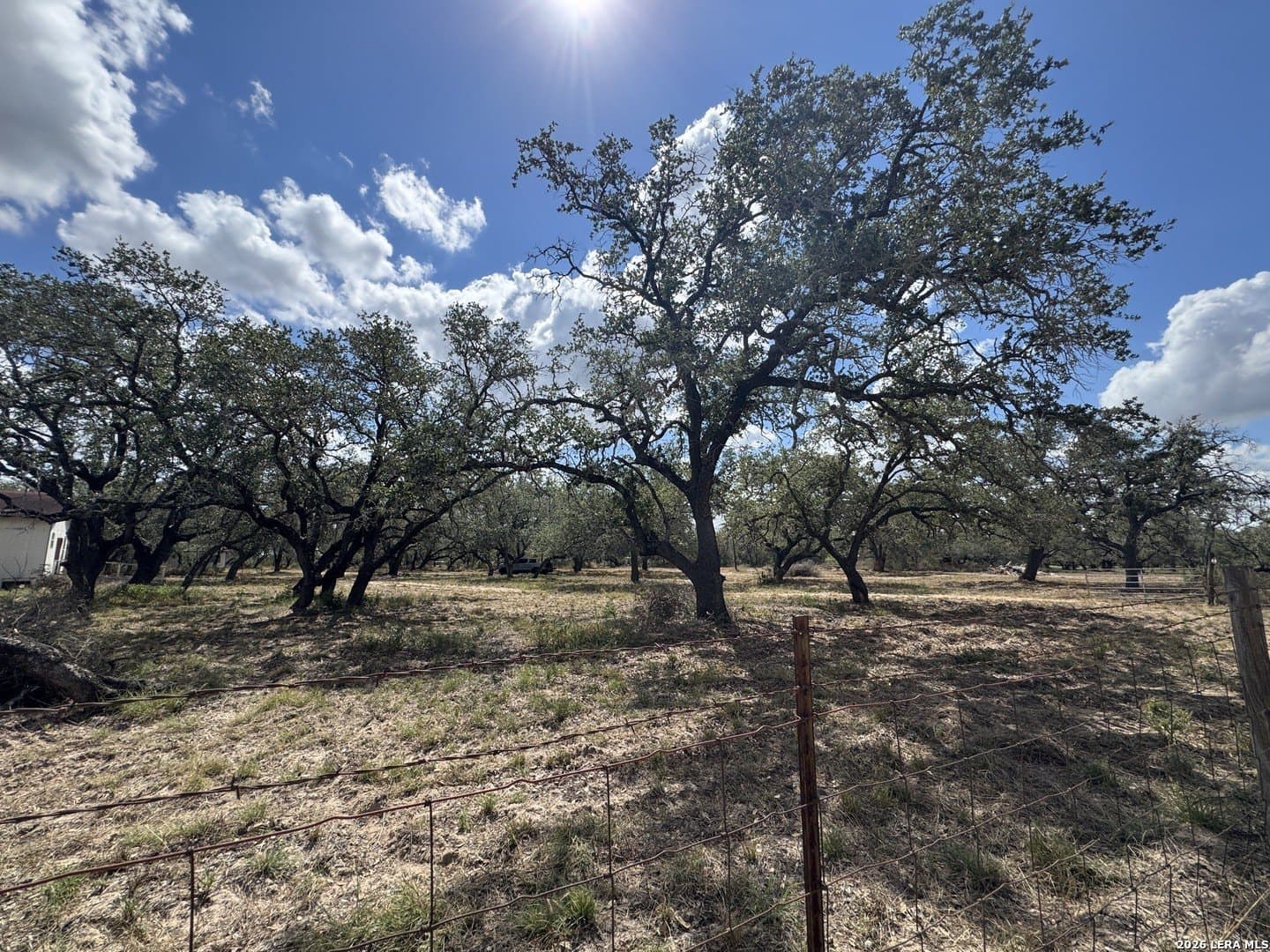 5 acres in Atascosa County - photo 8