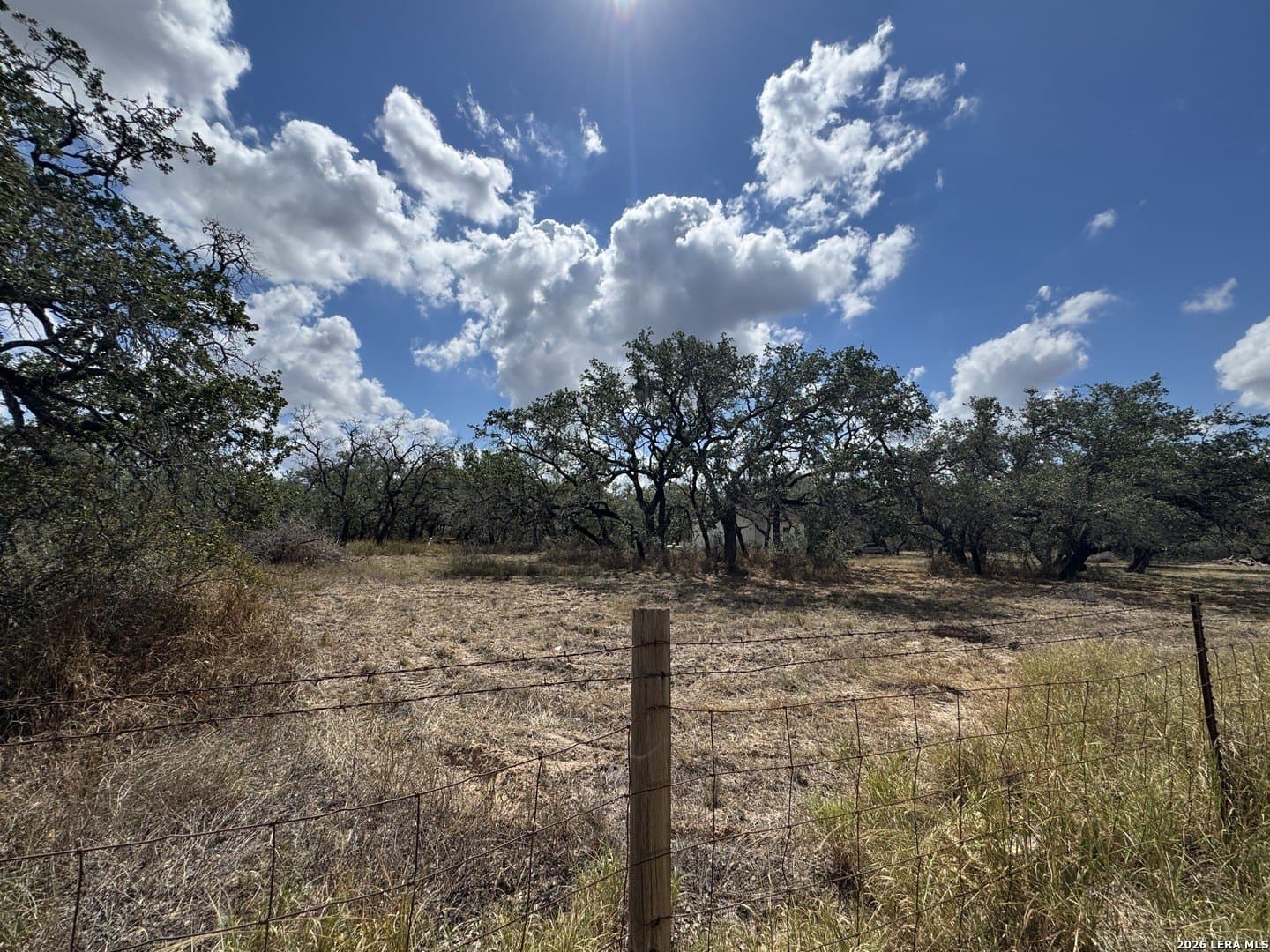 5 acres in Atascosa County - photo 9