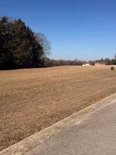 0.17 acres in Grayson County - photo 11