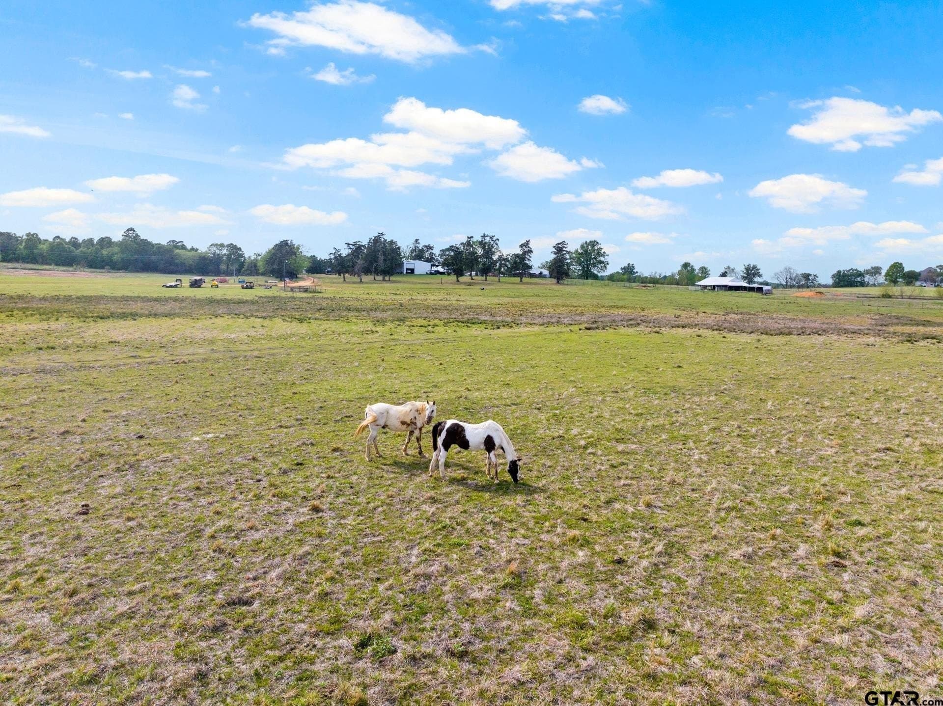 98.62 acres in Wood County - photo 10