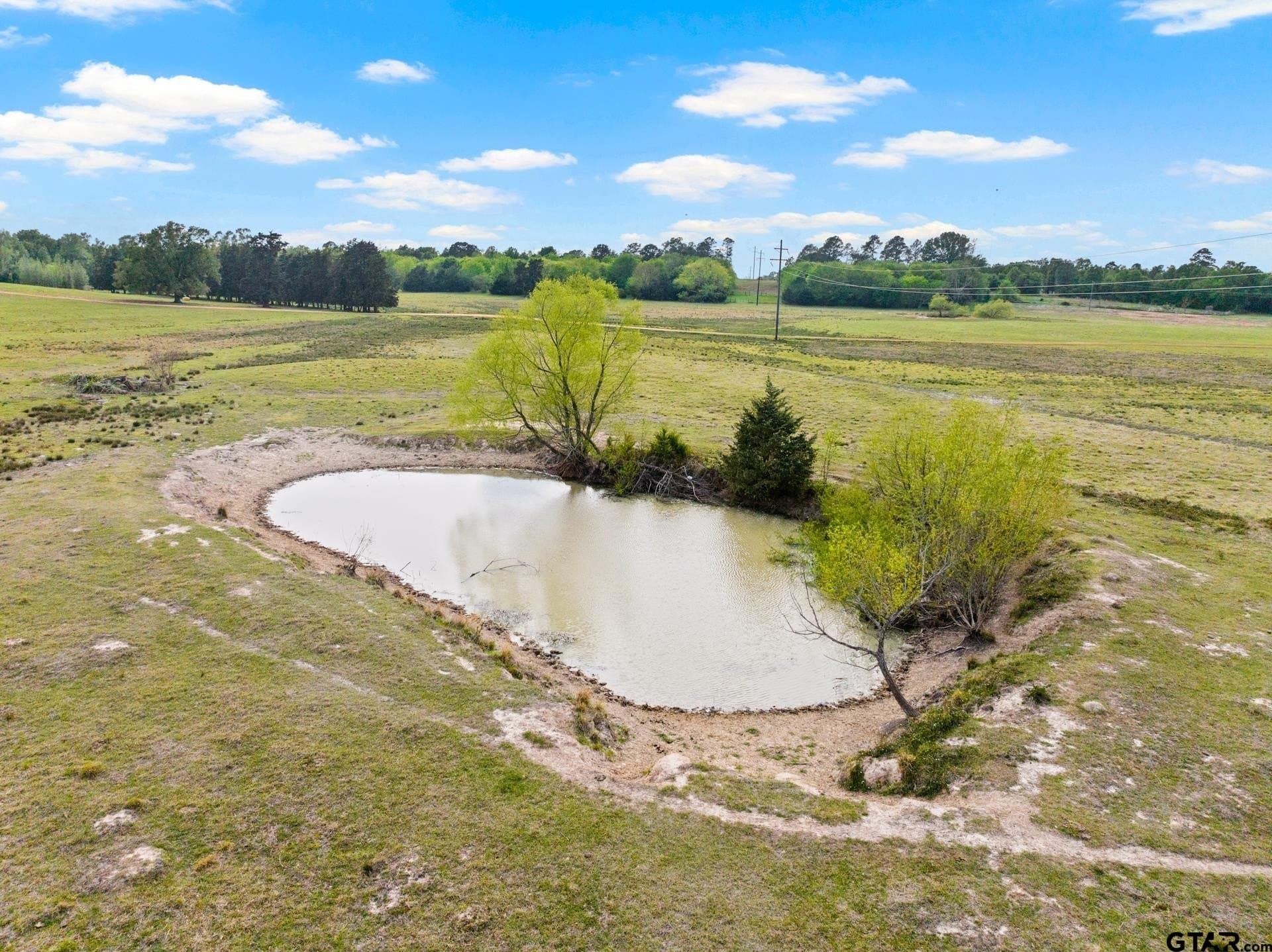 98.62 acres in Wood County - photo 15