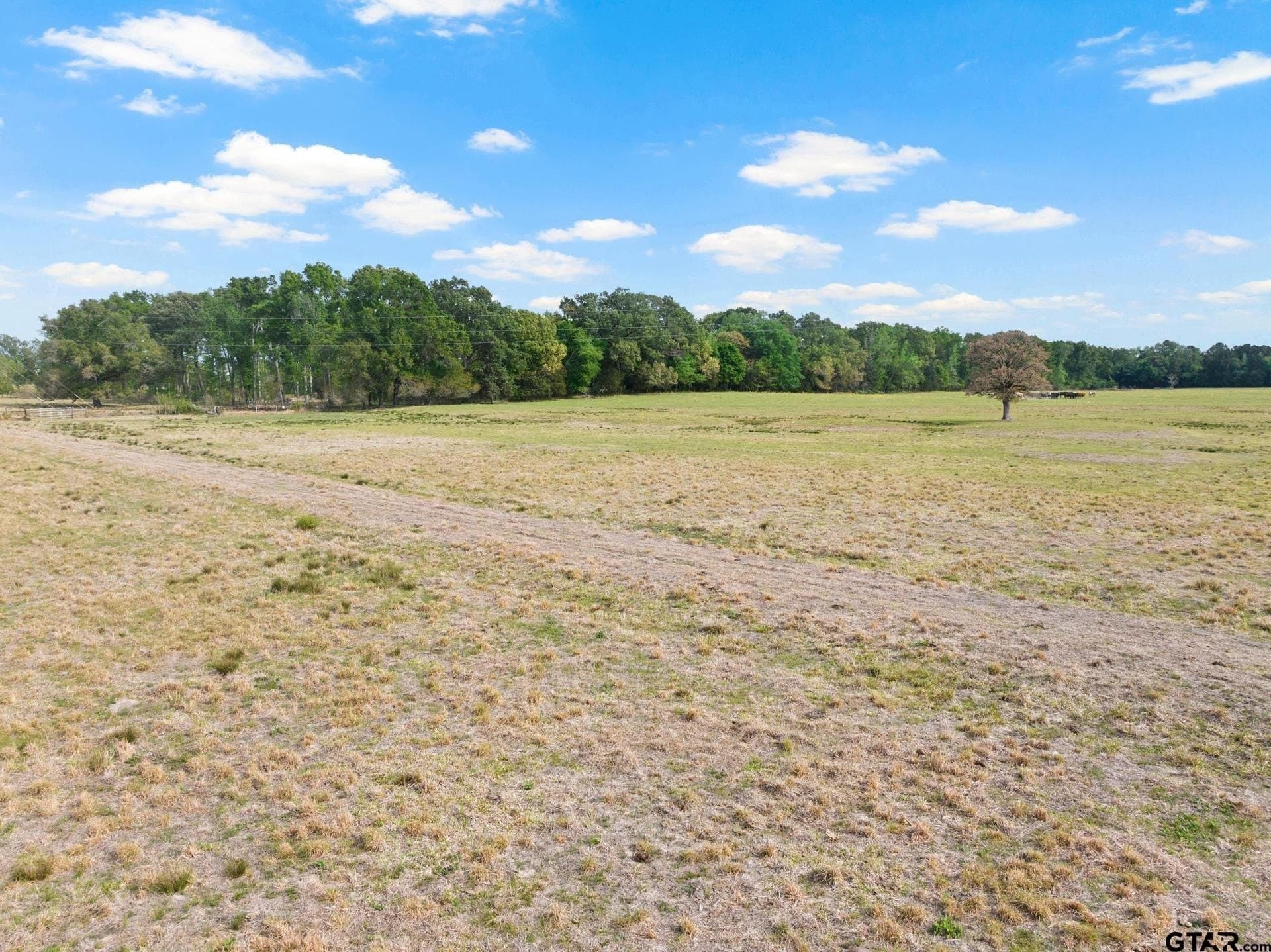 98.62 acres in Wood County - photo 9
