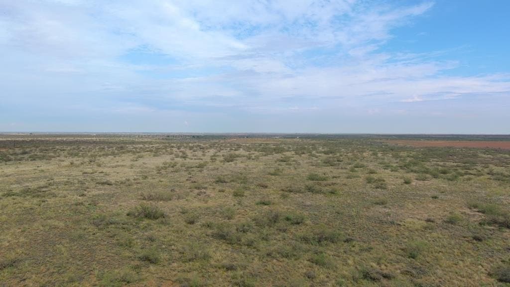 40 acres in Midland County gallery image 2