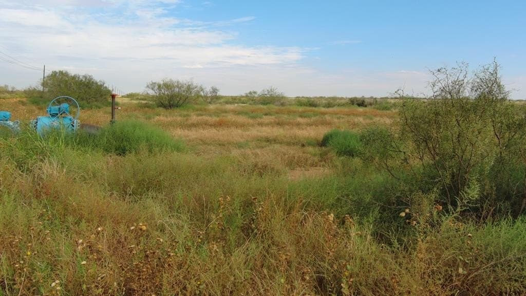 40 acres in Midland County gallery image 4