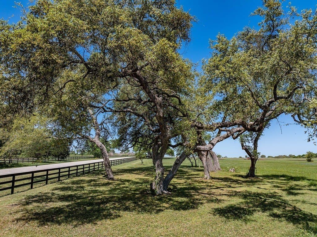 7.45 acres in Fayette County - photo 15