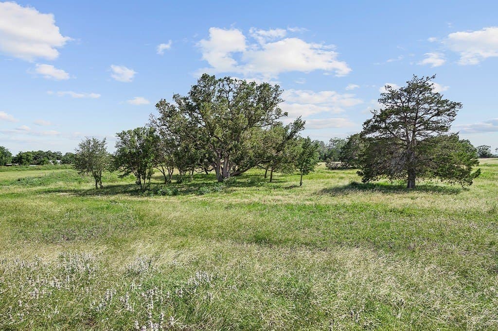 7.45 acres in Fayette County - photo 7