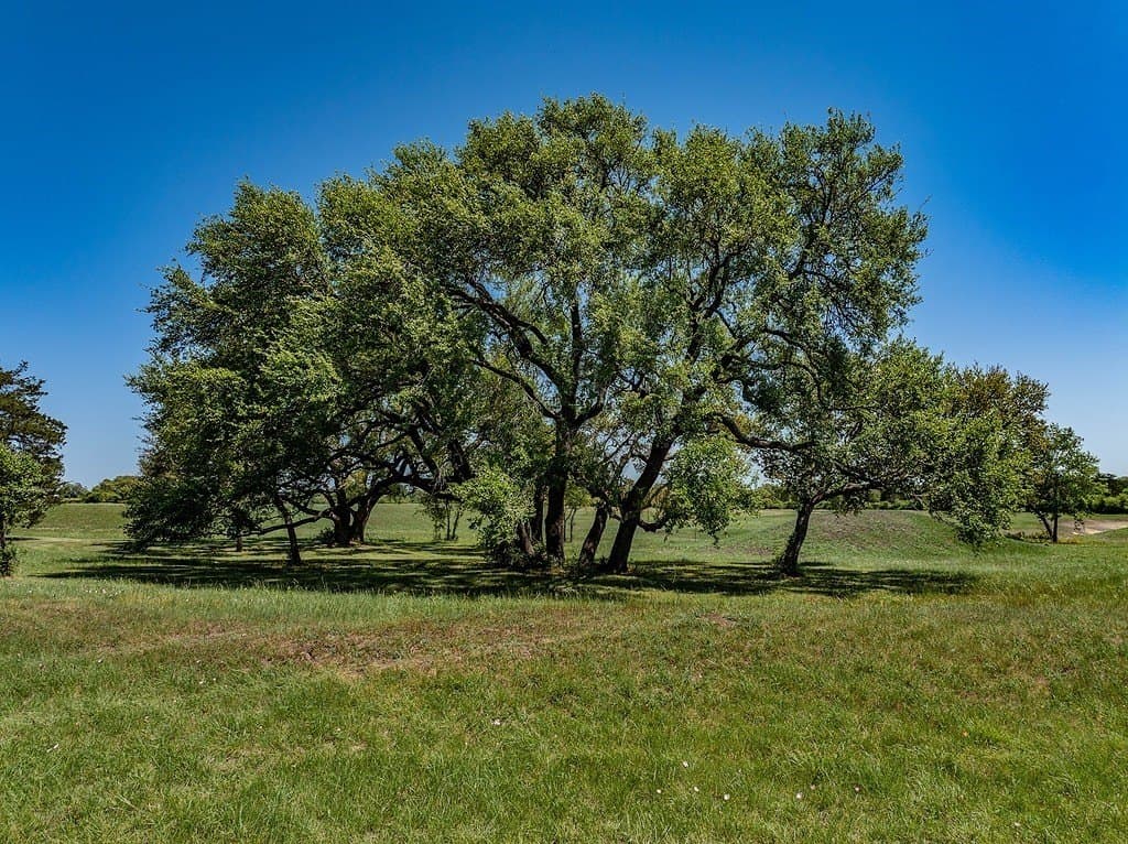 7.45 acres in Fayette County - photo 14