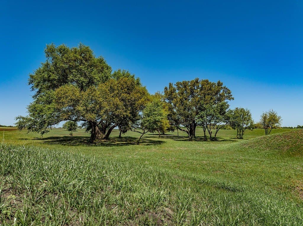 7.45 acres in Fayette County - photo 16