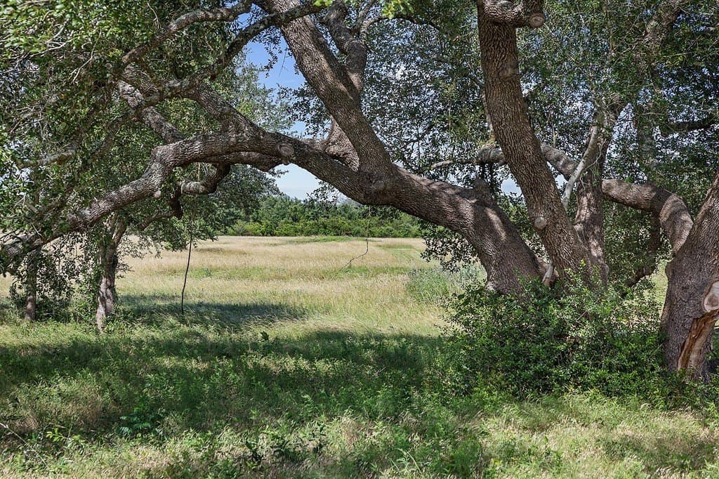 7.45 acres in Fayette County - photo 6