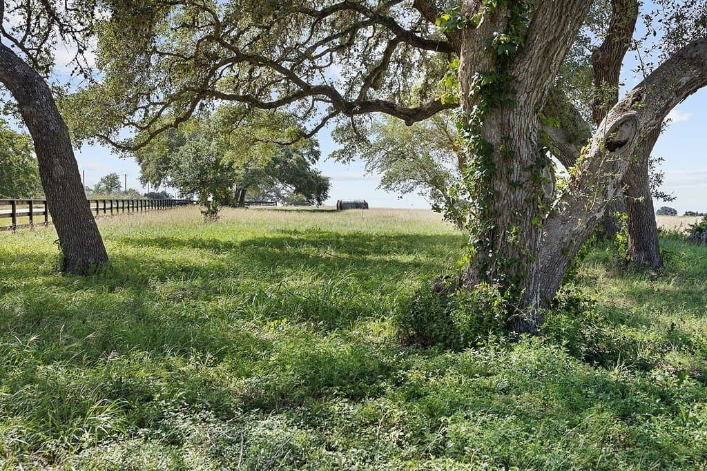 7.45 acres in Fayette County gallery image 4