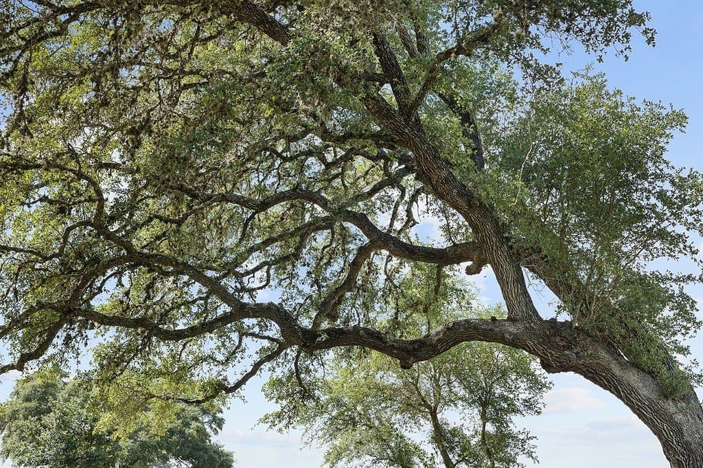 7.45 acres in Fayette County featured view