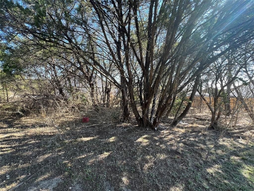 0.03 acres in Hood County gallery image 3