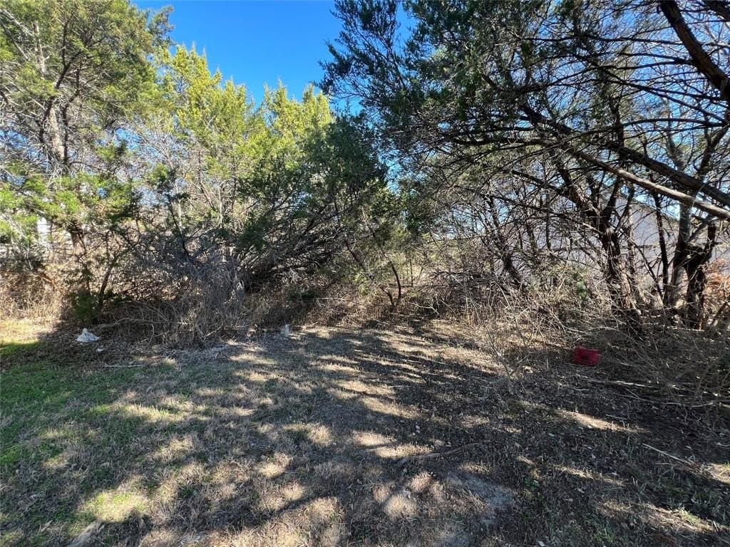 0.03 acres in Hood County gallery image 2