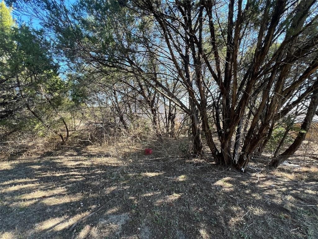 0.03 acres in Hood County gallery image 4