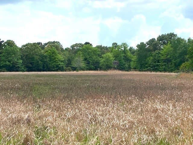 245.59 acres in Henderson County - photo 26