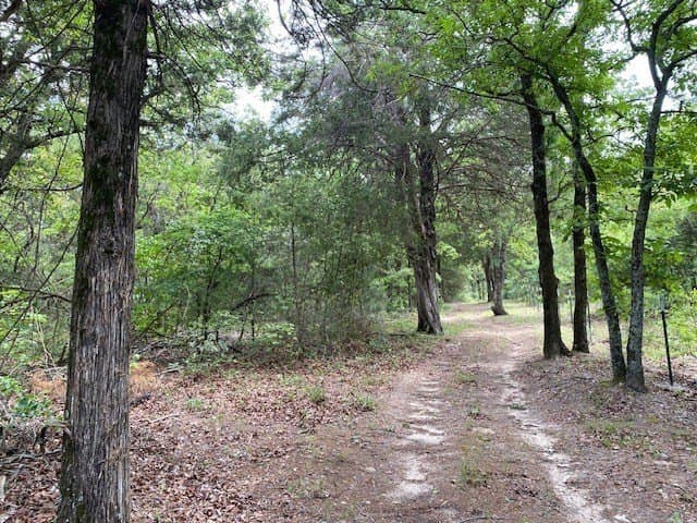 245.59 acres in Henderson County - photo 27