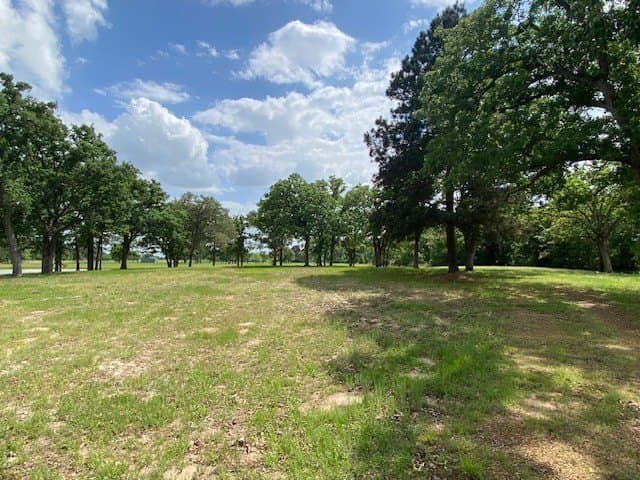 245.59 acres in Henderson County - photo 22
