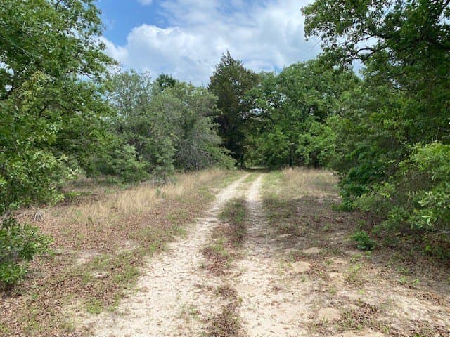 245.59 acres in Henderson County - photo 33