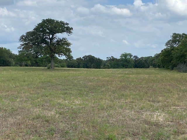 245.59 acres in Henderson County - photo 24