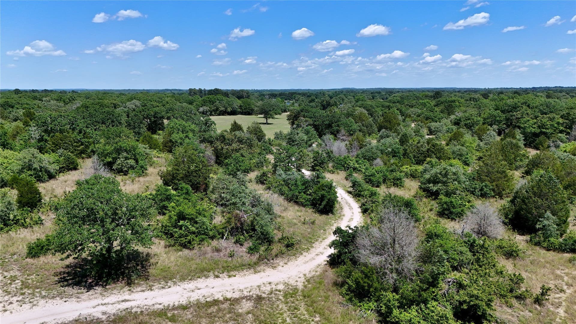 245.59 acres in Henderson County - photo 35